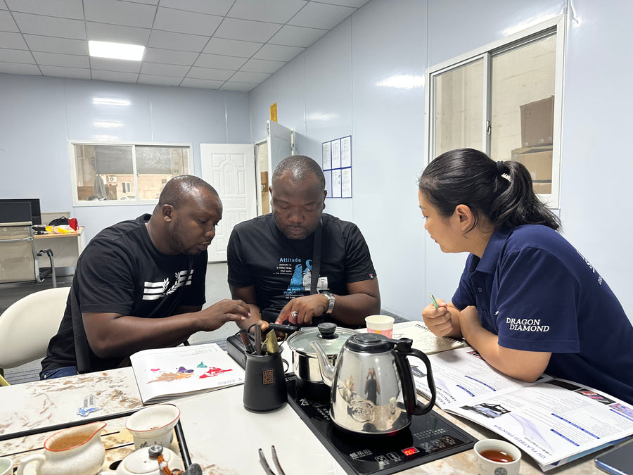 Customer discussion with the Dragon Diamond team